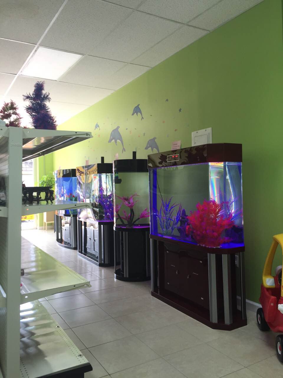 Photo of Crown Aquariums in Queens City, New York, United States - 3 Picture of Point of interest, Establishment, Store, Pet store