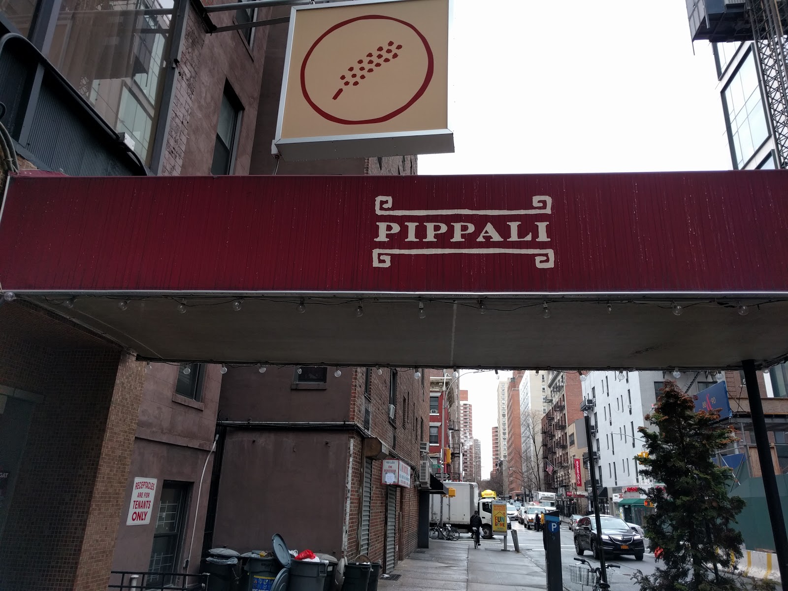 Photo of Pippali in New York City, New York, United States - 3 Picture of Restaurant, Food, Point of interest, Establishment