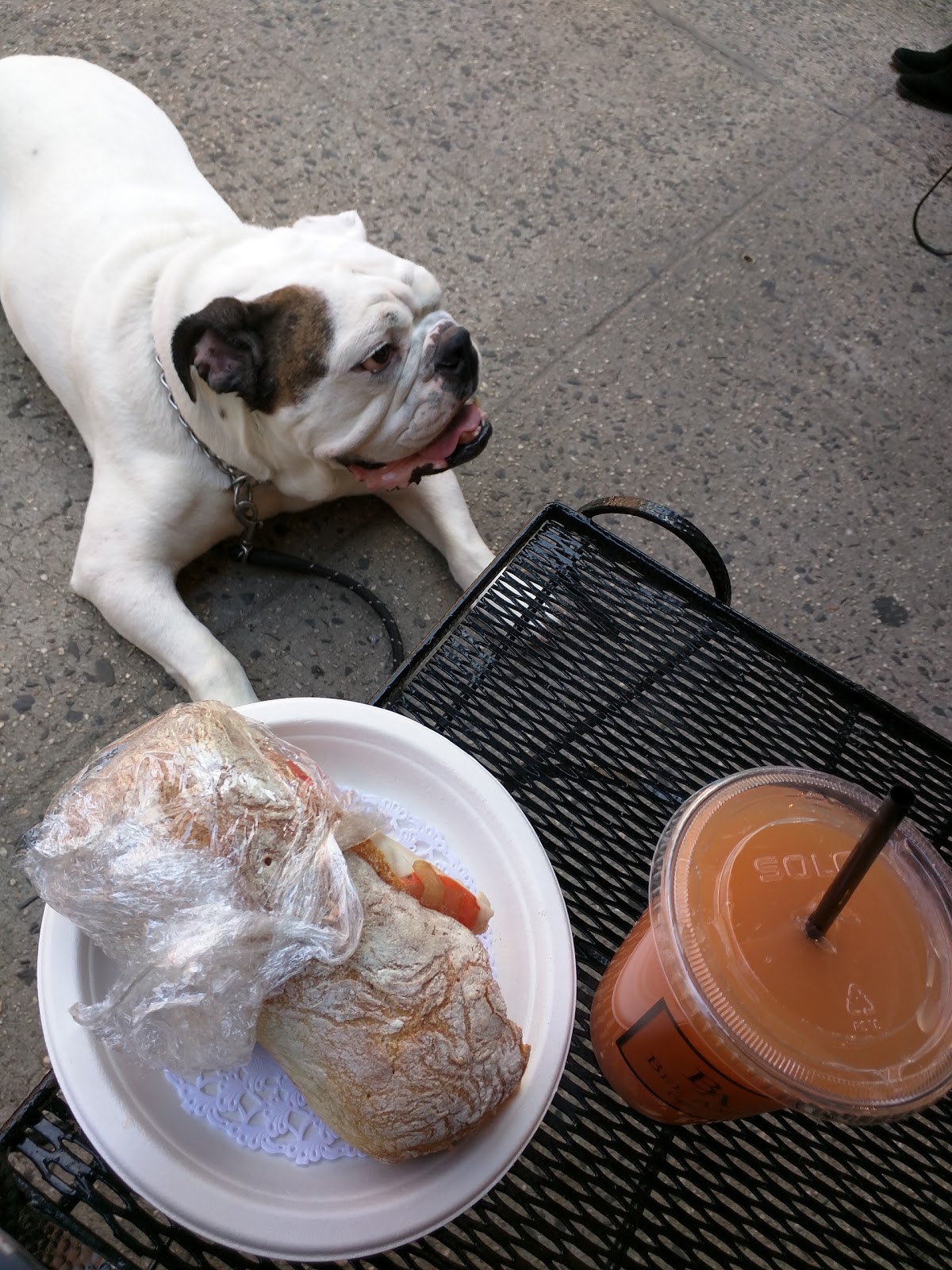 Photo of Bel Ami Cafe in New York City, New York, United States - 10 Picture of Food, Point of interest, Establishment, Cafe