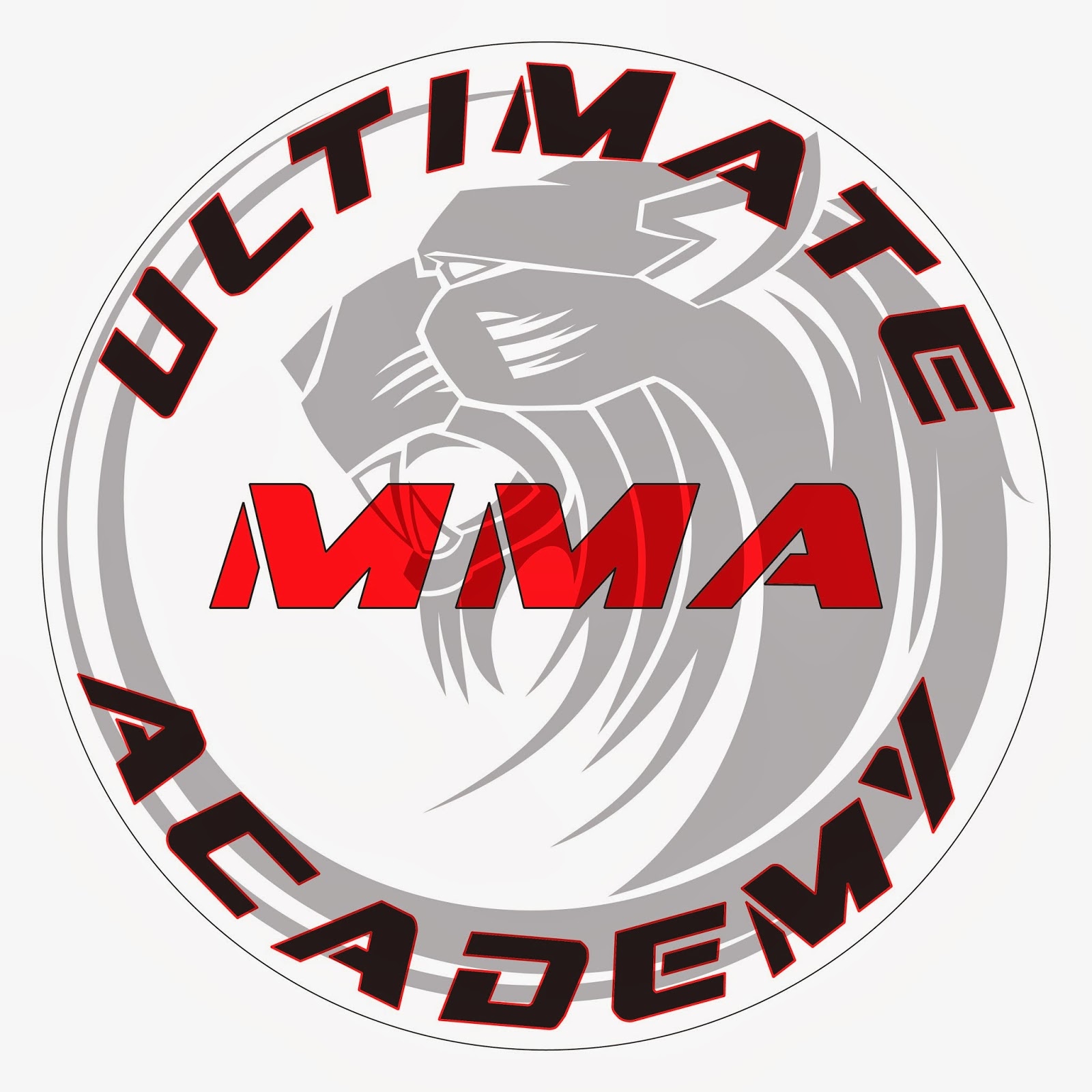 Photo of Ultimate MMA Academy in College Point City, New York, United States - 2 Picture of Point of interest, Establishment, Health, Gym