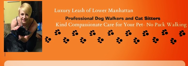 Photo of Luxury Leash of Lower Manhattan in New York City, New York, United States - 5 Picture of Point of interest, Establishment