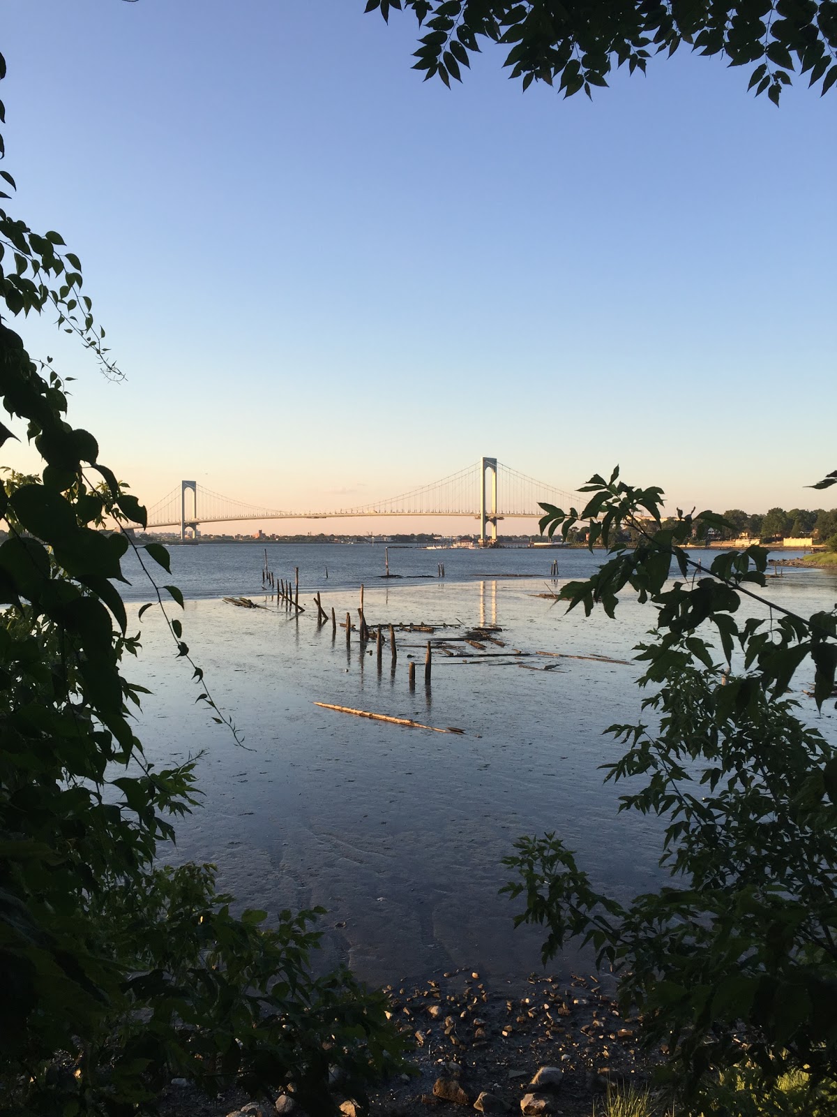 Photo of Powell's Cove Park in Whitestone City, New York, United States - 3 Picture of Point of interest, Establishment, Park