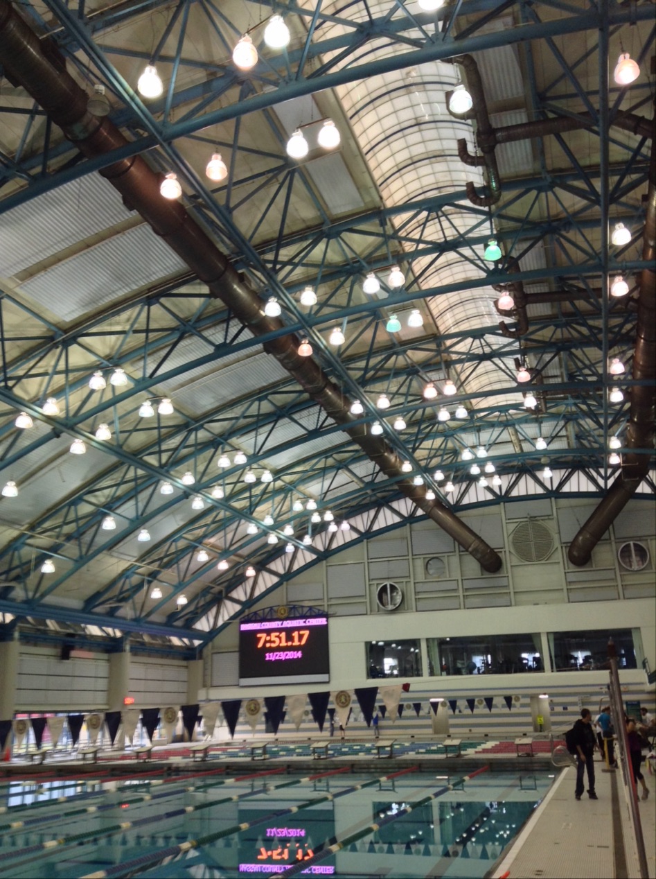 Photo of Nassau County Aquatic Center in East Meadow City, New York, United States - 5 Picture of Point of interest, Establishment