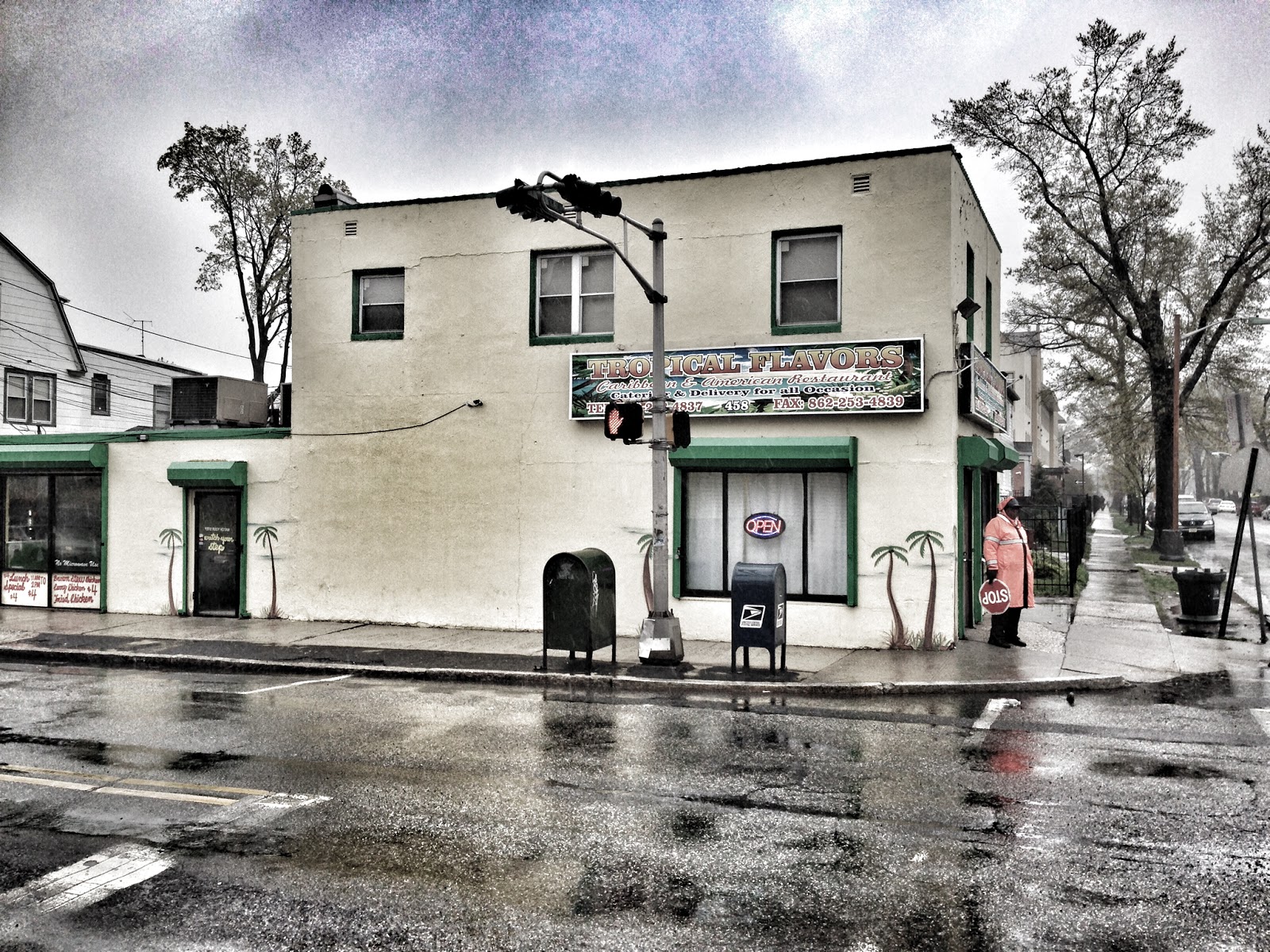 Photo of Tropical Flavors Caribbean & American Restaurant in East Orange City, New Jersey, United States - 3 Picture of Restaurant, Food, Point of interest, Establishment