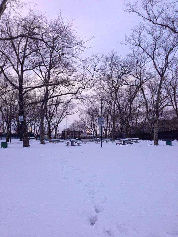 Photo of Washington Park in Union City, New Jersey, United States - 2 Picture of Point of interest, Establishment, Park