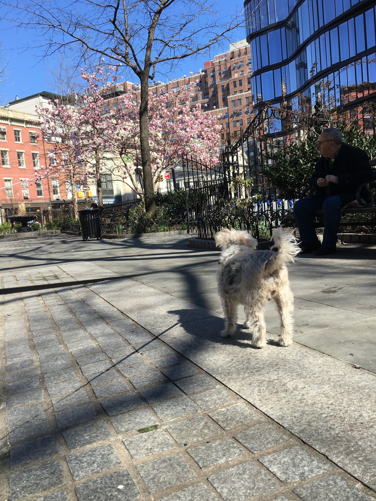 Photo of Jackson Square in New York City, New York, United States - 3 Picture of Point of interest, Establishment, Park