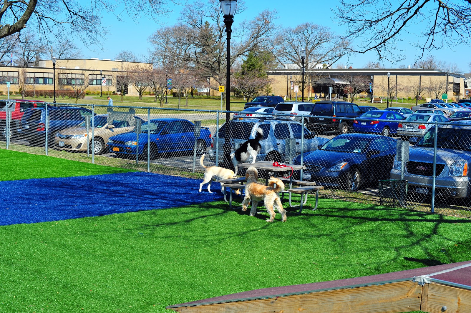 Photo of Valley Stream Dog Park in Valley Stream City, New York, United States - 1 Picture of Point of interest, Establishment, Park