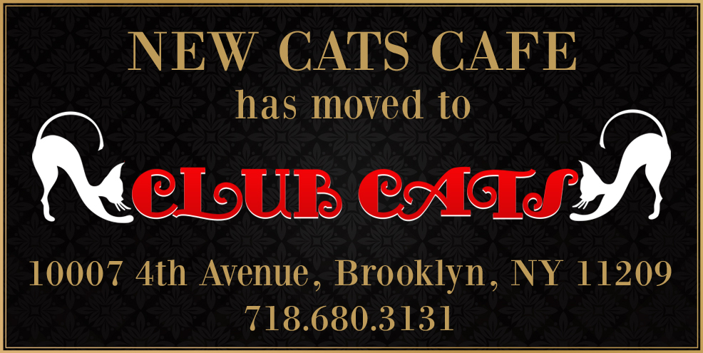 Photo of Cats on the Bay in Brooklyn City, New York, United States - 3 Picture of Restaurant, Food, Point of interest, Establishment, Bar
