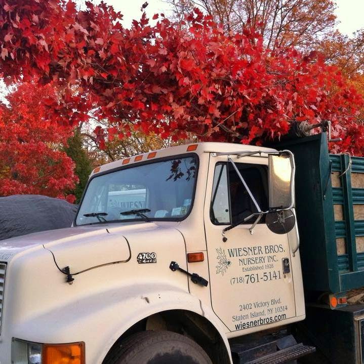 Photo of Wiesner Brothers Nursery Inc in Staten Island City, New York, United States - 3 Picture of Food, Point of interest, Establishment, General contractor