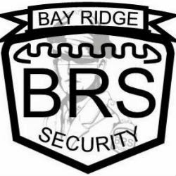 Photo of Bay Ridge Security Service, Inc. in Uniondale City, New York, United States - 2 Picture of Point of interest, Establishment
