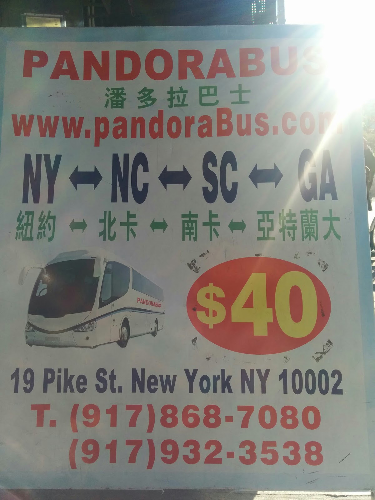 Photo of Pandorabus in New York City, New York, United States - 1 Picture of Point of interest, Establishment