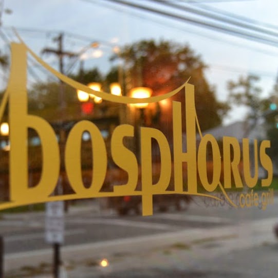 Photo of Bosphorus cafe grill in Port Washington City, New York, United States - 6 Picture of Restaurant, Food, Point of interest, Establishment