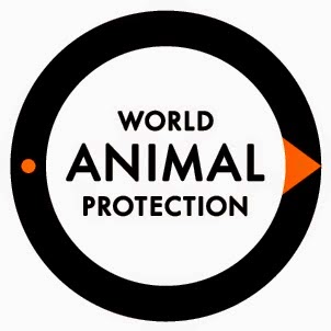 Photo of World Animal Protection USA in New York City, New York, United States - 2 Picture of Point of interest, Establishment