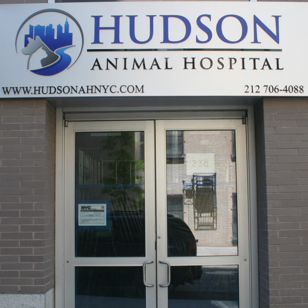 Photo of Hudson Animal Hospital in New York City, New York, United States - 5 Picture of Point of interest, Establishment, Store, Health, Doctor, Dentist, Veterinary care