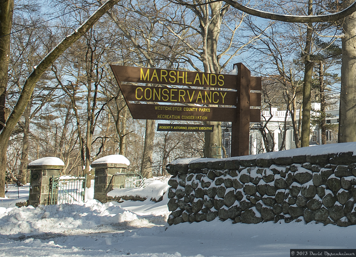 Photo of Marshlands Conservancy in Rye City, New York, United States - 4 Picture of Point of interest, Establishment, Park