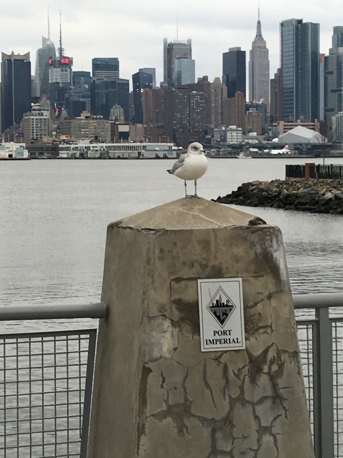 Photo of Port Imperial Ferry Corporation in Weehawken City, New Jersey, United States - 3 Picture of Point of interest, Establishment, Transit station