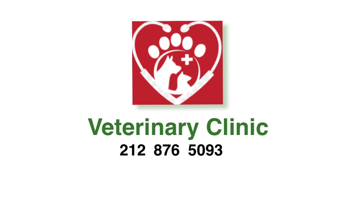 Photo of Ideal Pet Veterinary Clinic in New York City, New York, United States - 7 Picture of Point of interest, Establishment, Health, Veterinary care