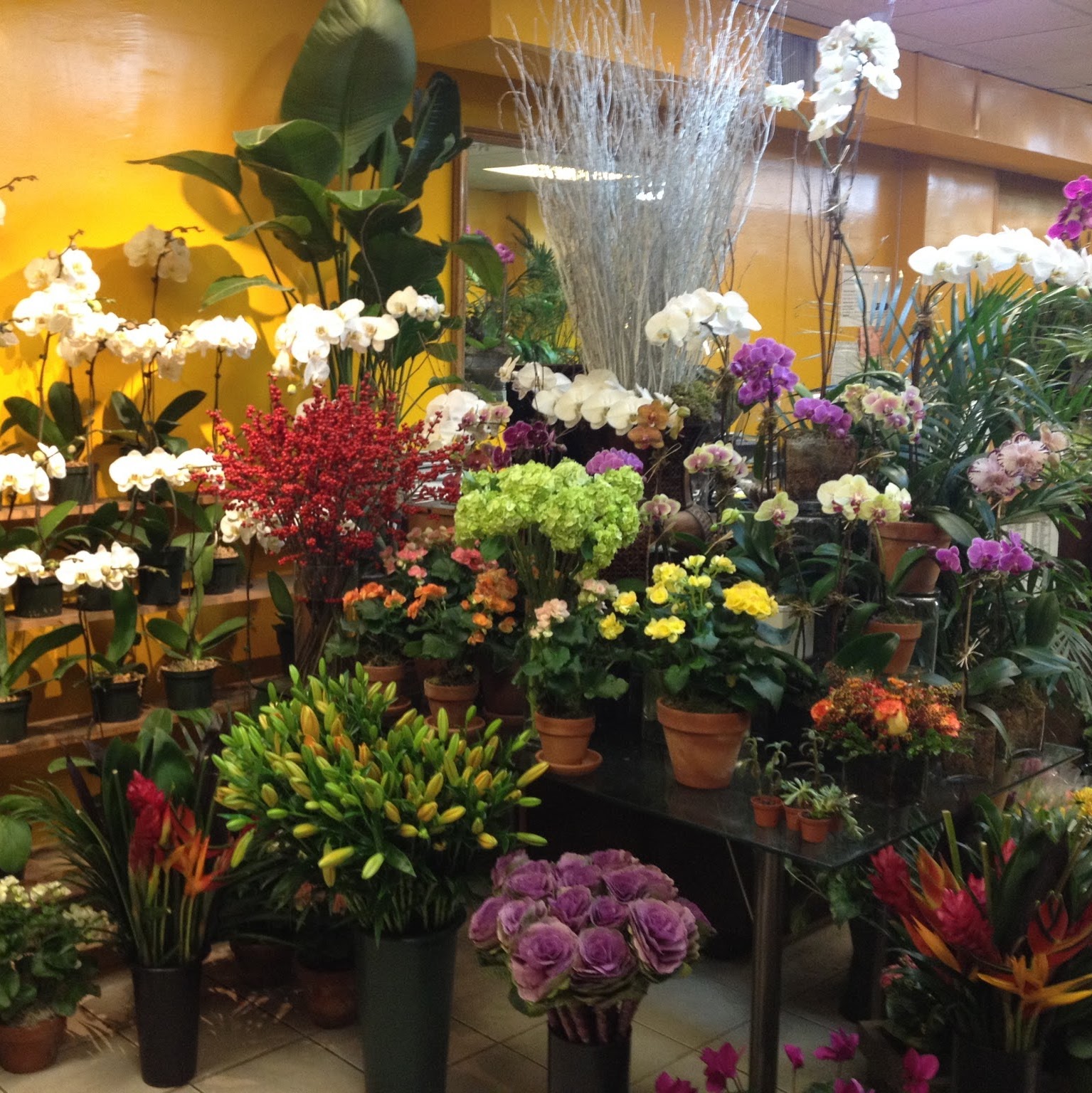 Photo of international plant center florist in New York City, New York, United States - 3 Picture of Point of interest, Establishment, Store, Florist