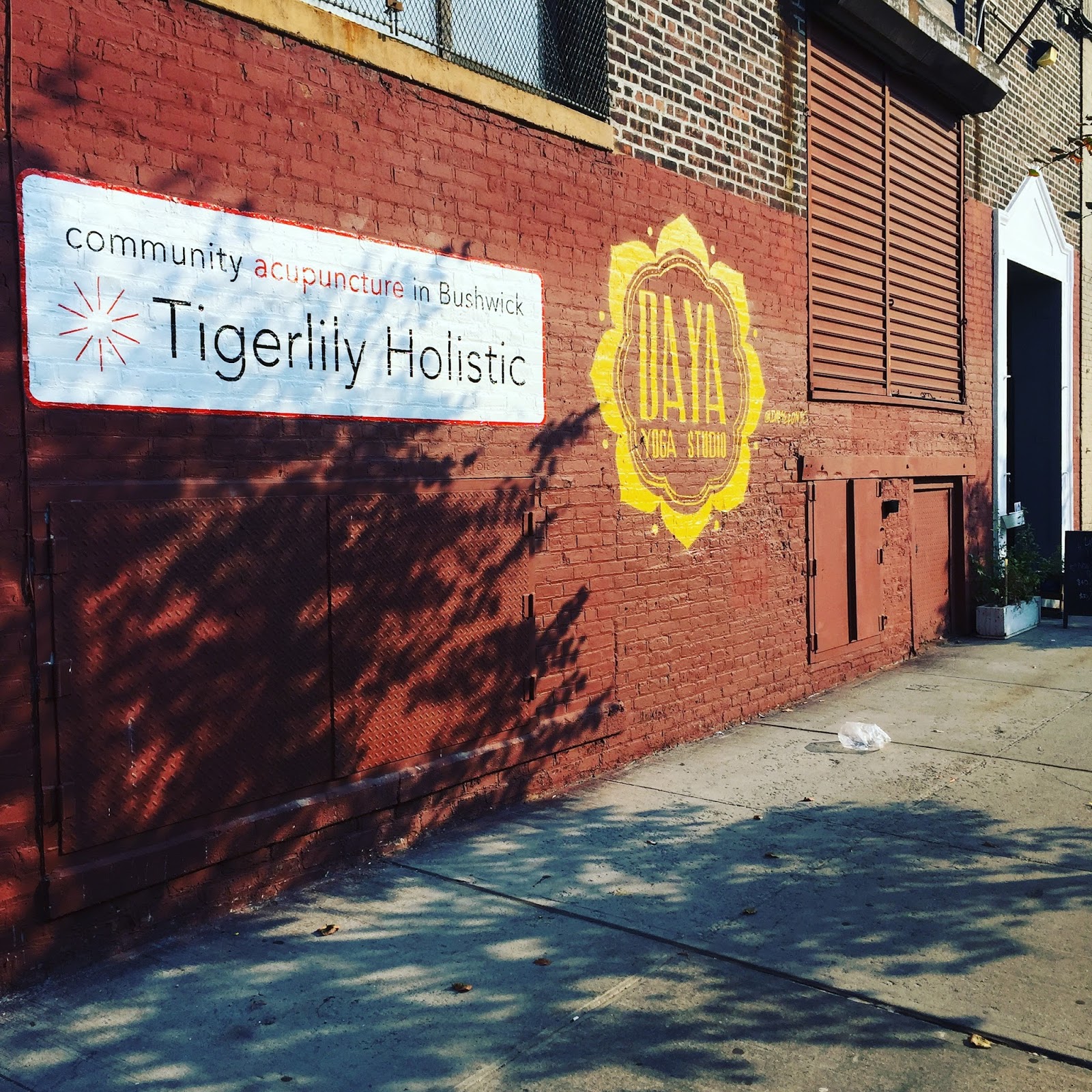 Photo of Tigerlily Holistic, community acupuncture in Bushwick in Kings County City, New York, United States - 2 Picture of Point of interest, Establishment, Health