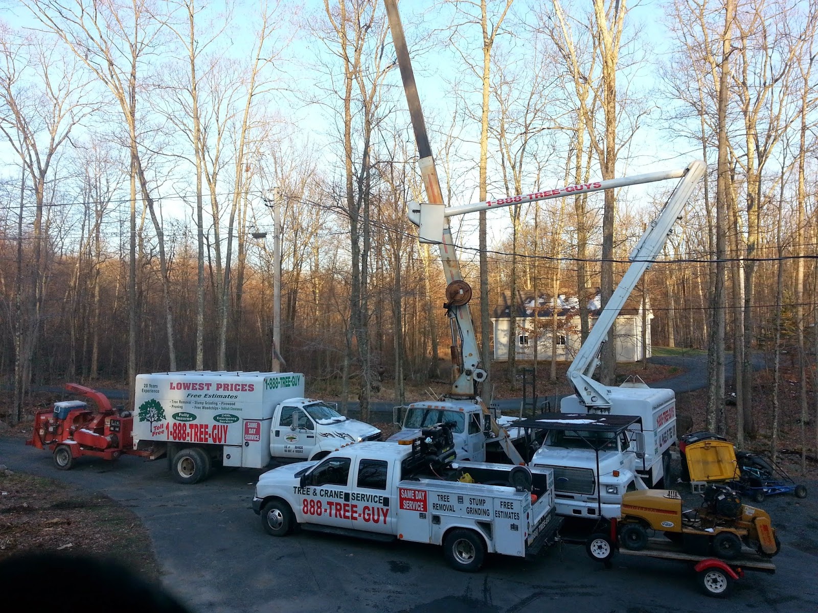 Photo of GoodFellers Tree Service in Kings County City, New York, United States - 5 Picture of Point of interest, Establishment