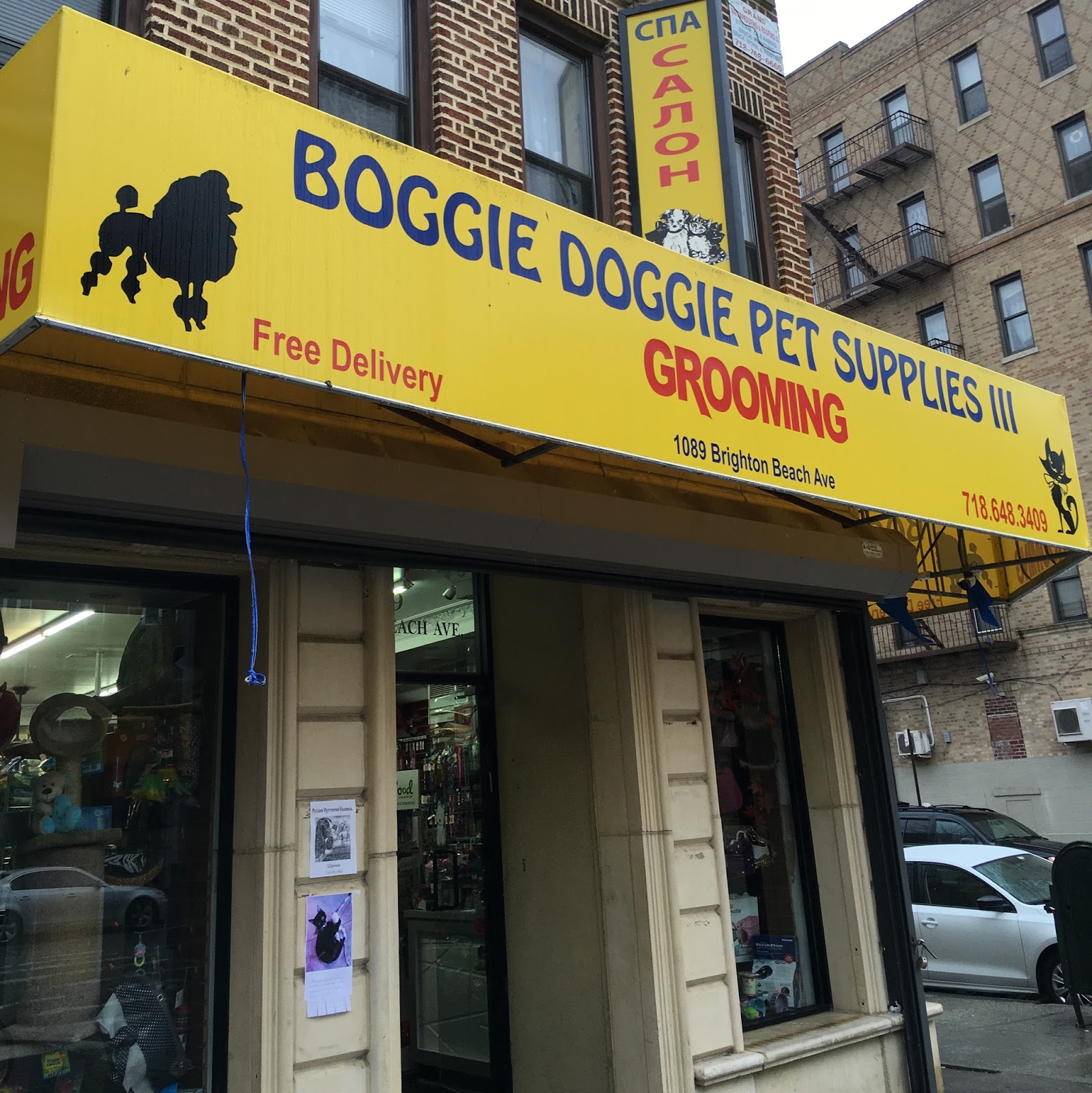 Photo of Boggie Doggie 3 in New York City, New York, United States - 1 Picture of Point of interest, Establishment, Store