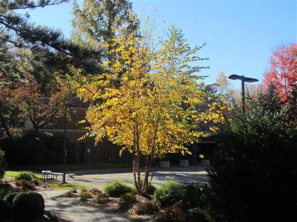 Photo of Temple B'Nai Abraham in Livingston City, New Jersey, United States - 7 Picture of Point of interest, Establishment, School, Place of worship, Synagogue