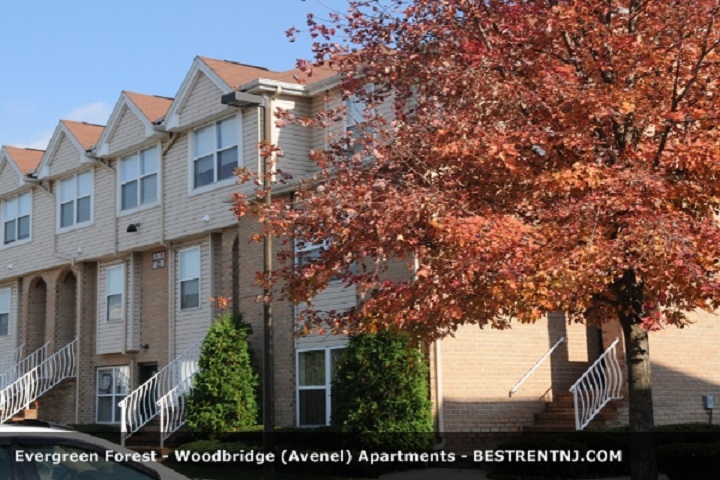 Photo of Evergreen Forest Apartments in Avenel City, New Jersey, United States - 4 Picture of Point of interest, Establishment, Real estate agency