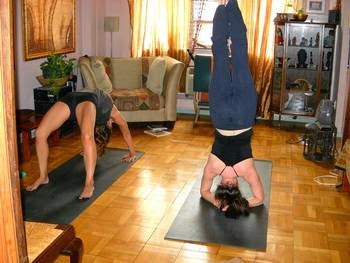 Photo of Sistashree Yoga and Devotional Music in New York City, New York, United States - 1 Picture of Point of interest, Establishment, Health, Gym