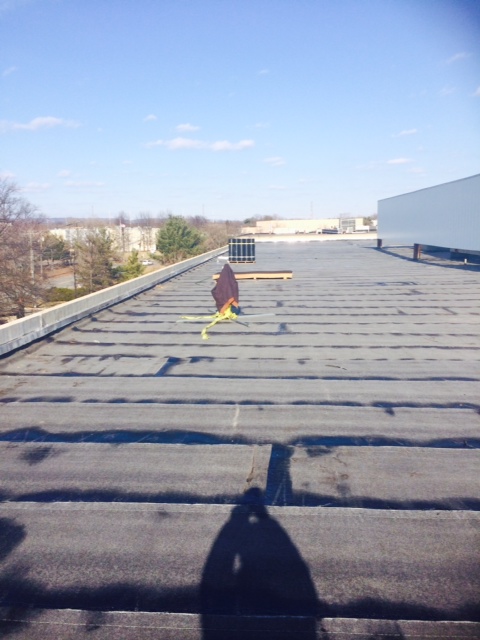 Photo of Daniel Construction LLC in Wayne City, New Jersey, United States - 5 Picture of Point of interest, Establishment, Store, General contractor, Roofing contractor