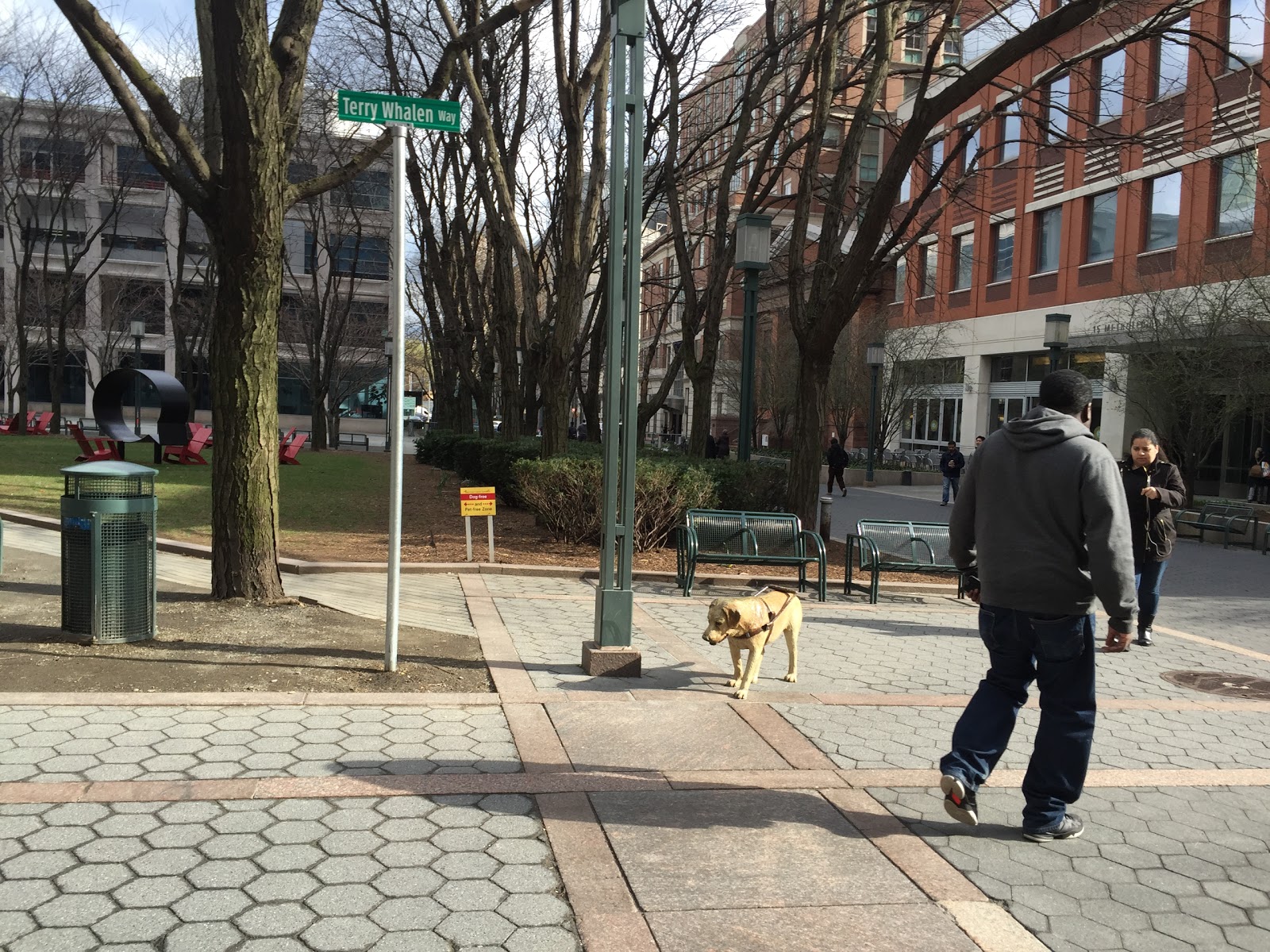 Photo of MetroTech Commons in New York City, New York, United States - 3 Picture of Point of interest, Establishment, Park