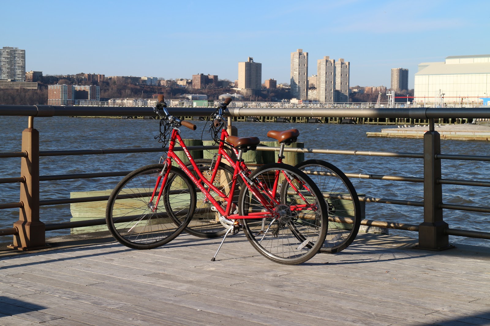 Photo of Central Park Sightseeing Bike Rentals And Tours in New York City, New York, United States - 6 Picture of Point of interest, Establishment, Travel agency