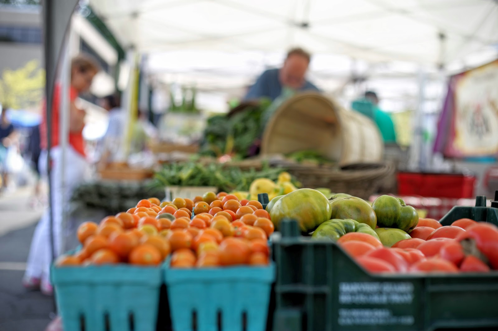 Photo of Bronxville Saturday Farmer Market in Bronxville City, New York, United States - 6 Picture of Food, Point of interest, Establishment, Store, Grocery or supermarket