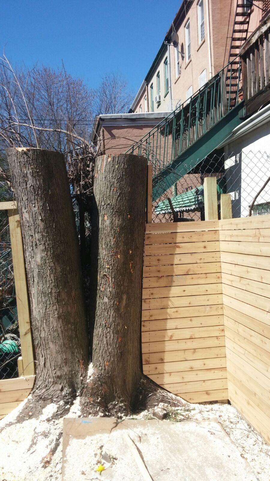 Photo of J. Evergreen Tree Services in Uniondale City, New York, United States - 2 Picture of Point of interest, Establishment