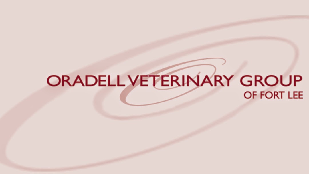 Photo of Fort Lee-Oradell Veterinary in Fort Lee City, New Jersey, United States - 2 Picture of Point of interest, Establishment, Veterinary care