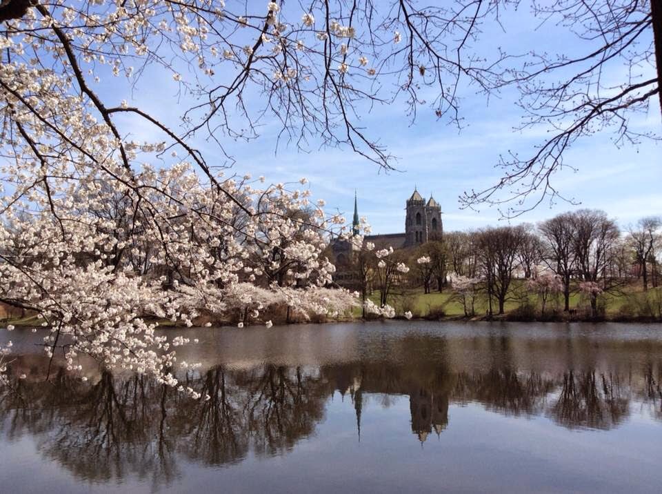 Photo of Branch Brook Park in Newark City, New Jersey, United States - 10 Picture of Point of interest, Establishment, Park