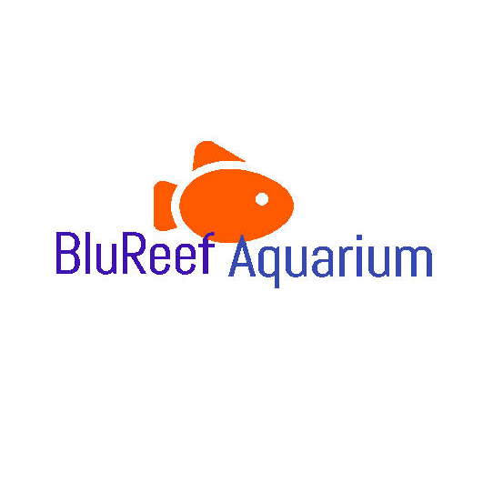 Photo of BluReef Aquarium in Brooklyn City, New York, United States - 6 Picture of Point of interest, Establishment, Store, Pet store, Aquarium