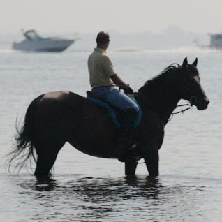 Photo of Jamaica Bay Riding Academy Inc in Brooklyn City, New York, United States - 1 Picture of Point of interest, Establishment, Travel agency