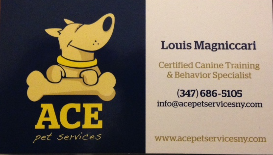 Photo of Ace Pet Services NY in Kings County City, New York, United States - 3 Picture of Point of interest, Establishment