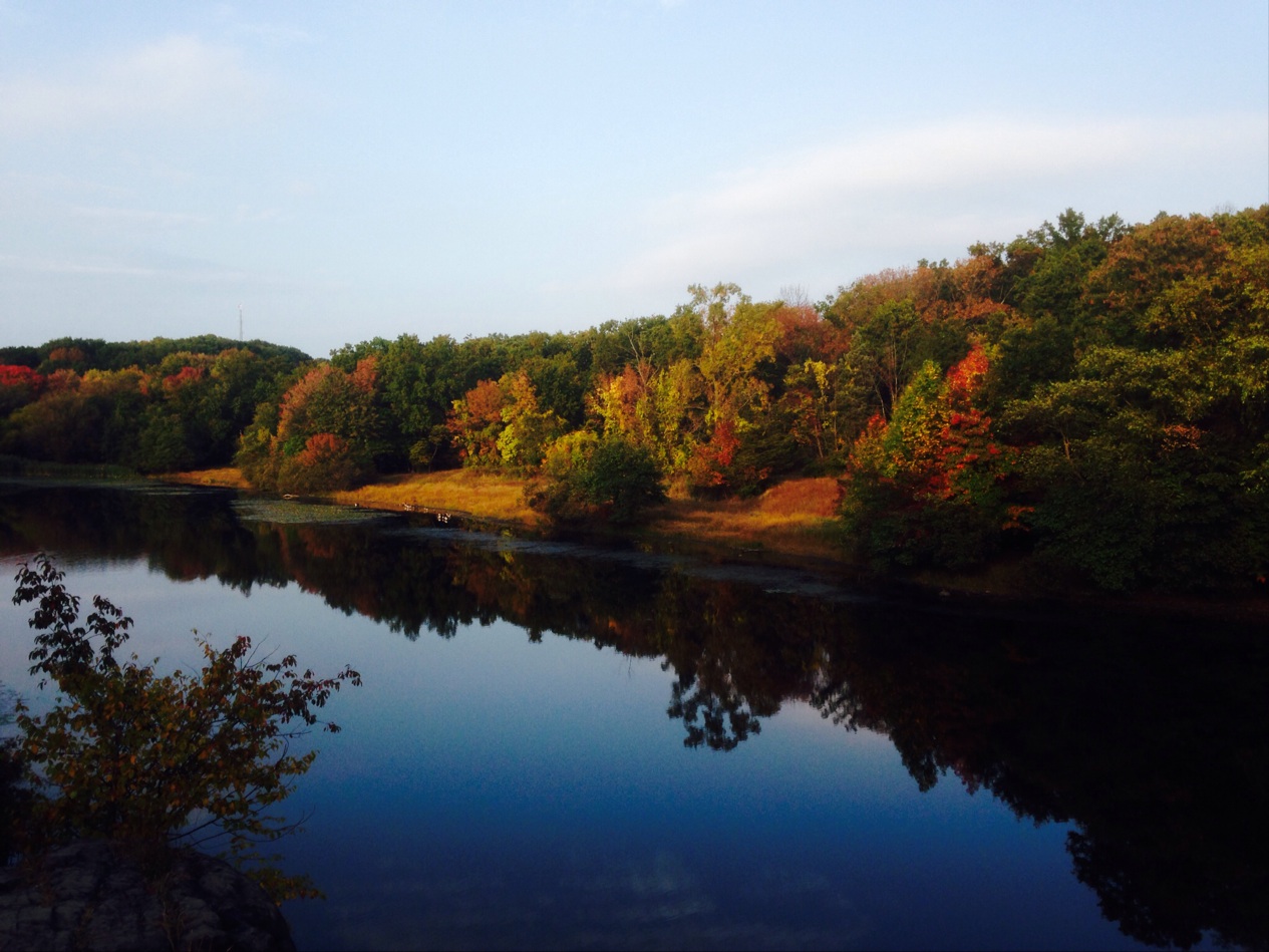 Photo of Garret Mountain Reservation in Woodland Park City, New Jersey, United States - 9 Picture of Point of interest, Establishment, Park