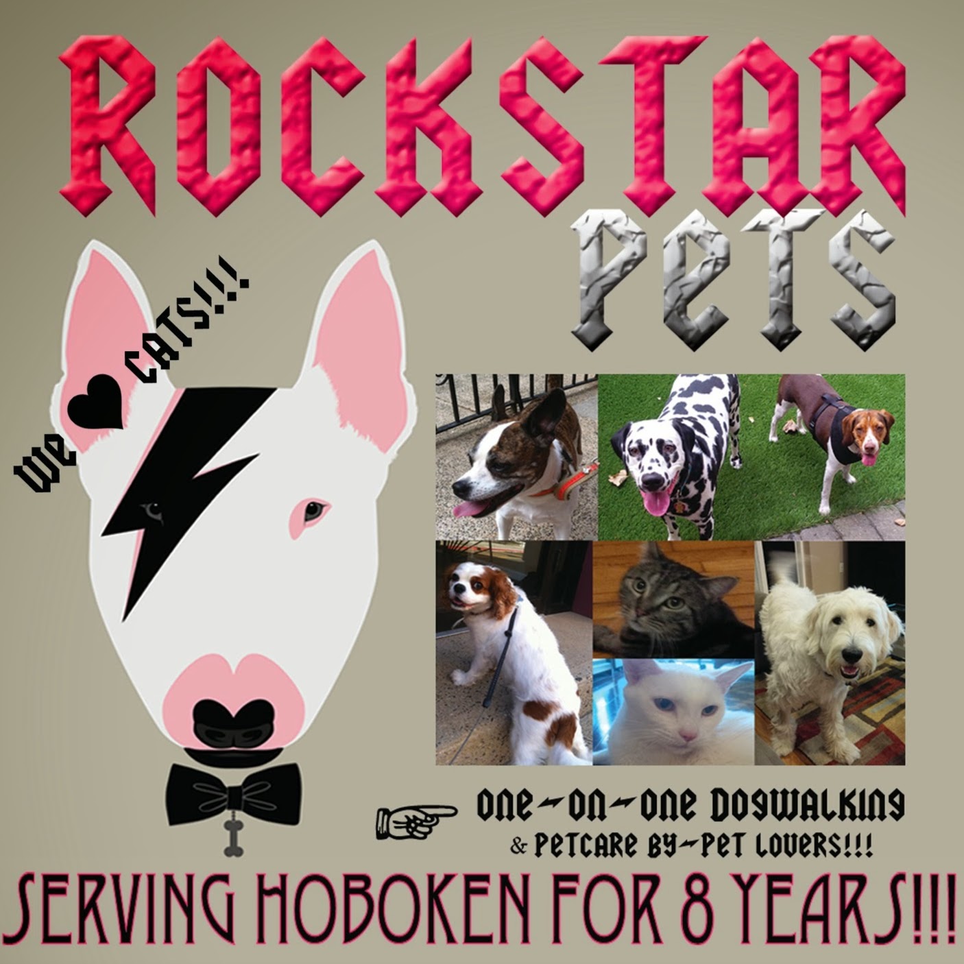 Photo of Rockstar Pets NJ in Hoboken City, New Jersey, United States - 5 Picture of Point of interest, Establishment