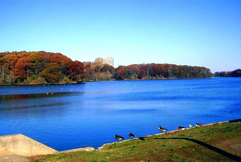 Photo of Weequahic Park in Newark City, New Jersey, United States - 2 Picture of Point of interest, Establishment, Park
