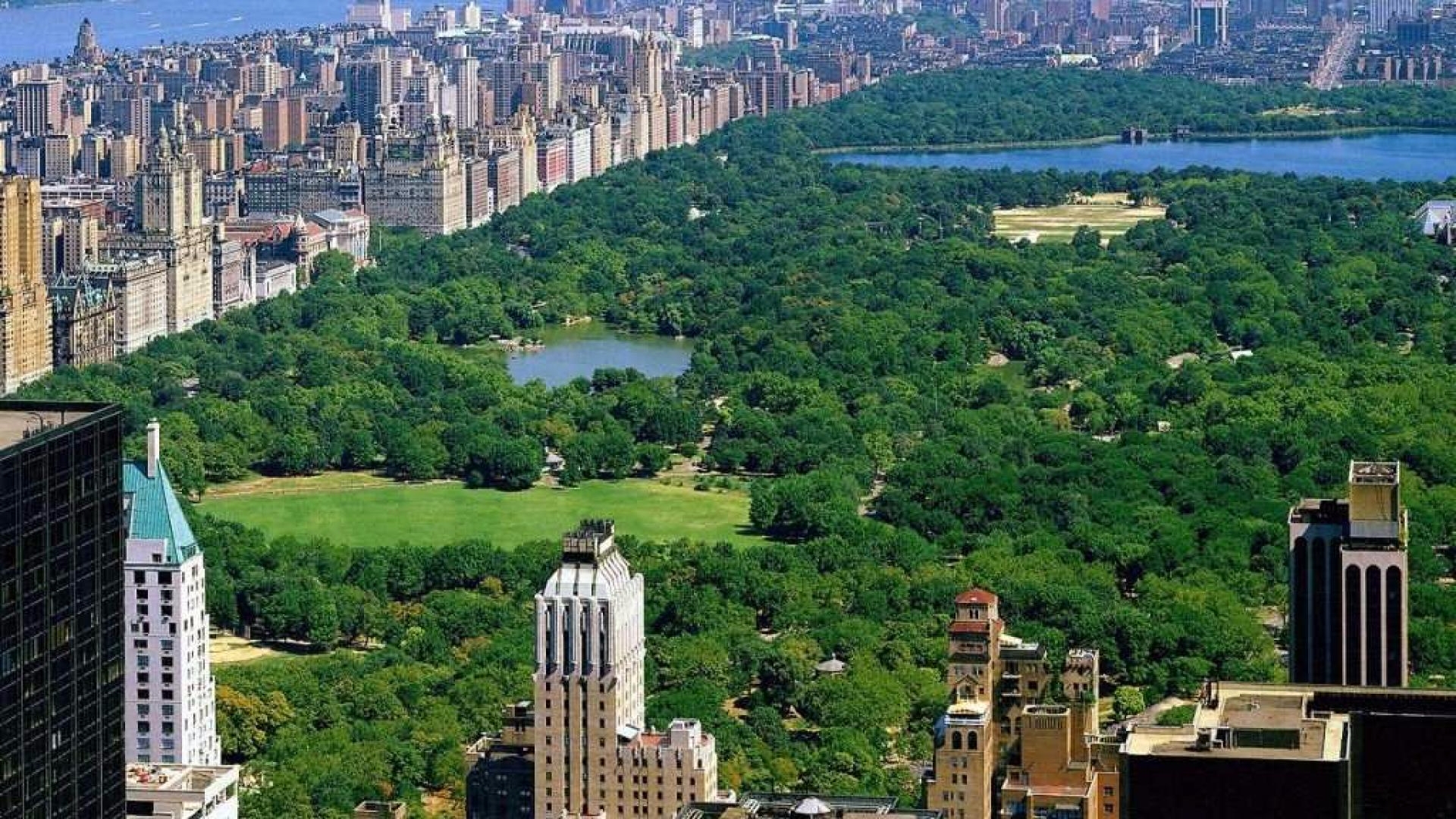 Photo of Central Park in New York City, New York, United States - 11 Picture of Point of interest, Establishment, Park