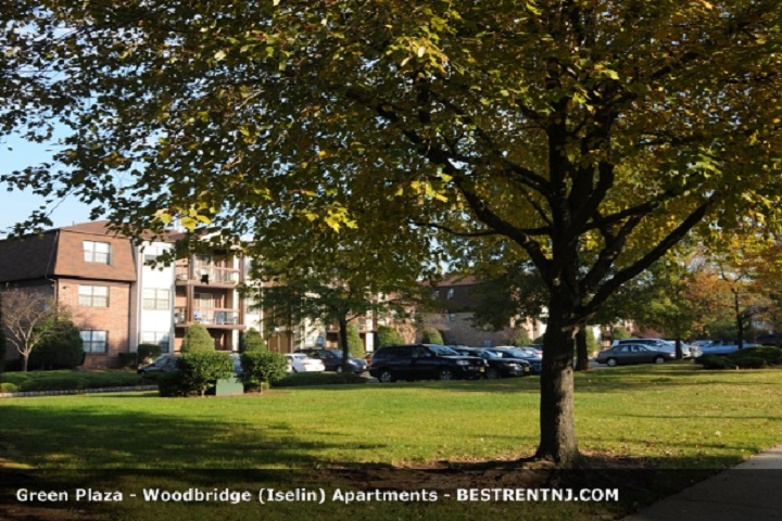 Photo of Green Plaza Apartments in Iselin City, New Jersey, United States - 8 Picture of Point of interest, Establishment, Real estate agency