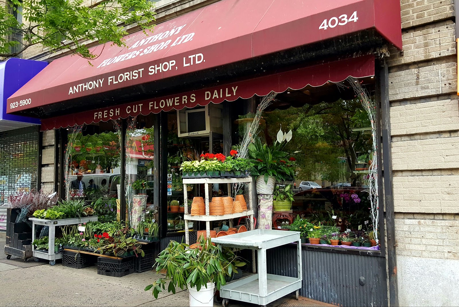 Photo of Anthony Flower Shop in New York City, New York, United States - 1 Picture of Point of interest, Establishment, Store, Florist