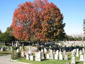 Photo of Linden Hill United Methodist Cemetery in Ridgewood City, New York, United States - 2 Picture of Point of interest, Establishment, Cemetery