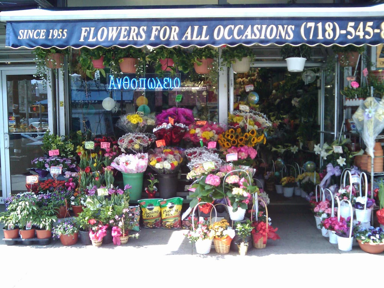 Photo of Astoria Flower Mart in New York City, New York, United States - 2 Picture of Point of interest, Establishment, Store, Florist