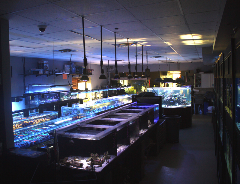 Photo of Manhattan Aquariums in New York City, New York, United States - 1 Picture of Point of interest, Establishment, Store, Pet store
