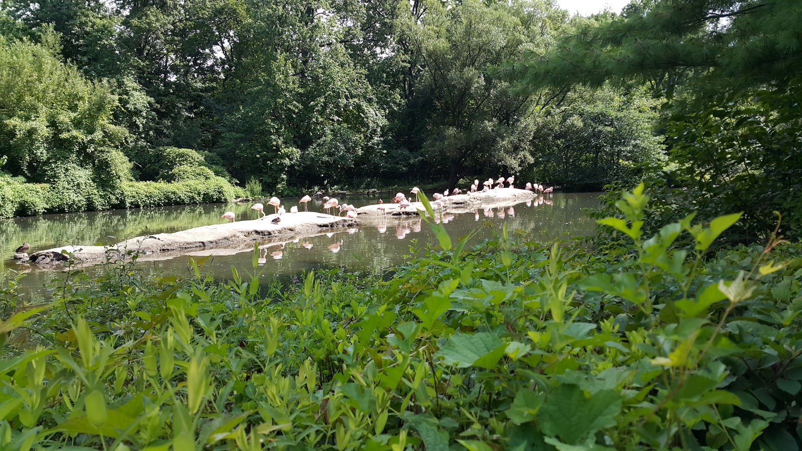 Photo of Bronx Zoo Store in New York City, New York, United States - 2 Picture of Point of interest, Establishment, Store