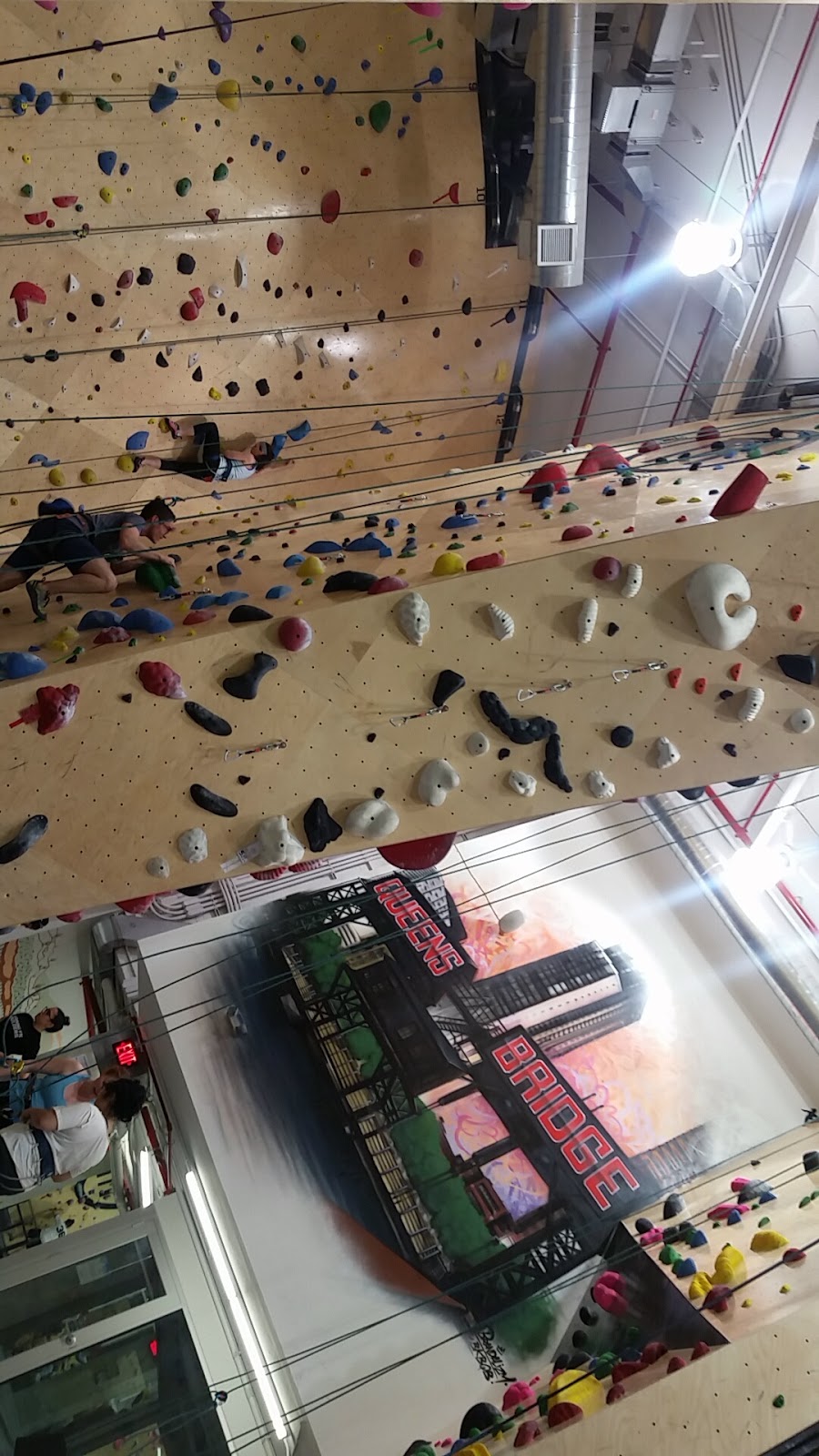 Photo of Brooklyn Boulders Queensbridge in Queens City, New York, United States - 9 Picture of Point of interest, Establishment, Health, Gym