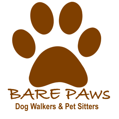 Photo of Bare Paws Dog Walkers & Pet Sitters in New York City, New York, United States - 7 Picture of Point of interest, Establishment